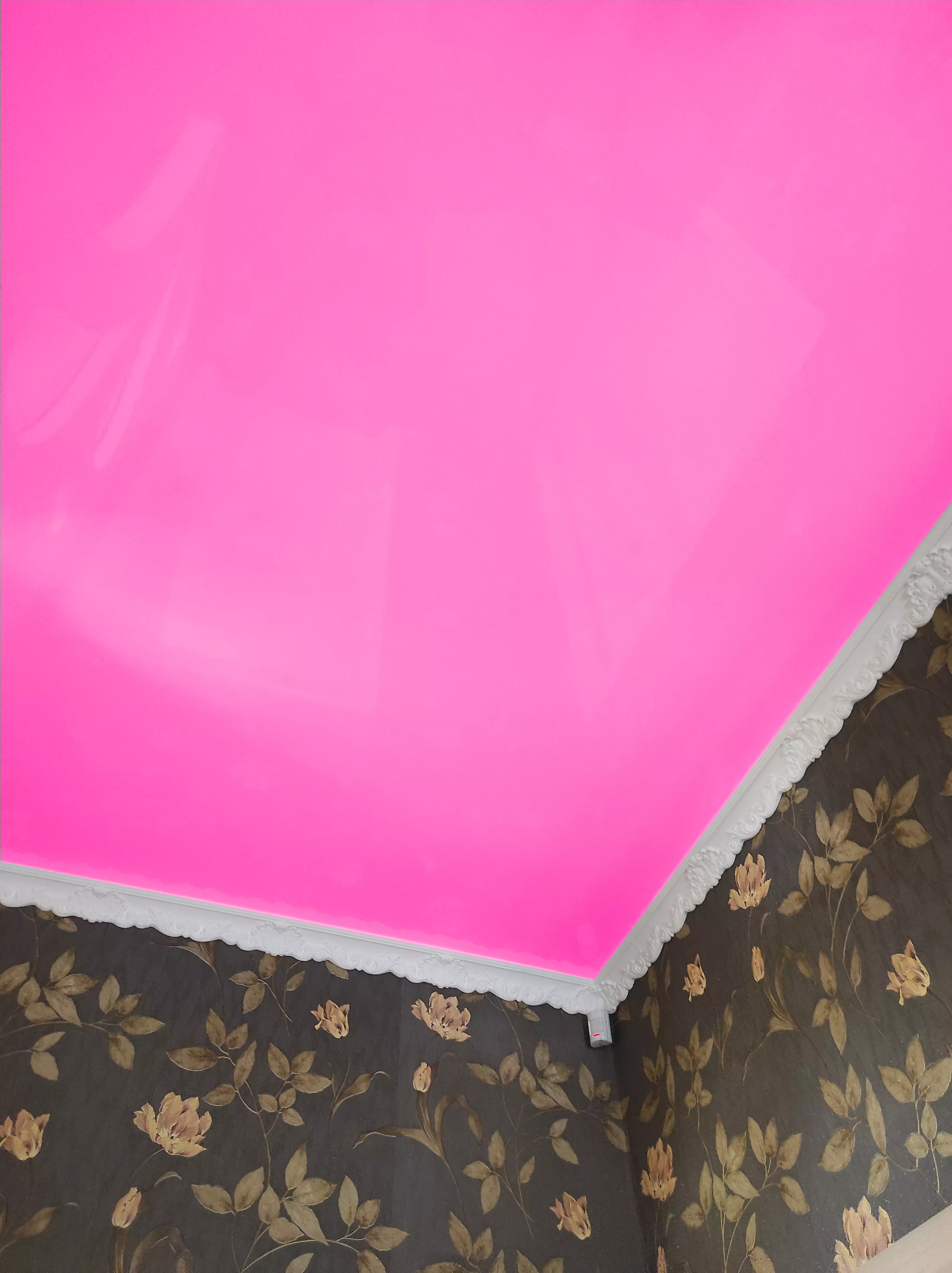 Нальчик, улица Толстого, 98, фото 2