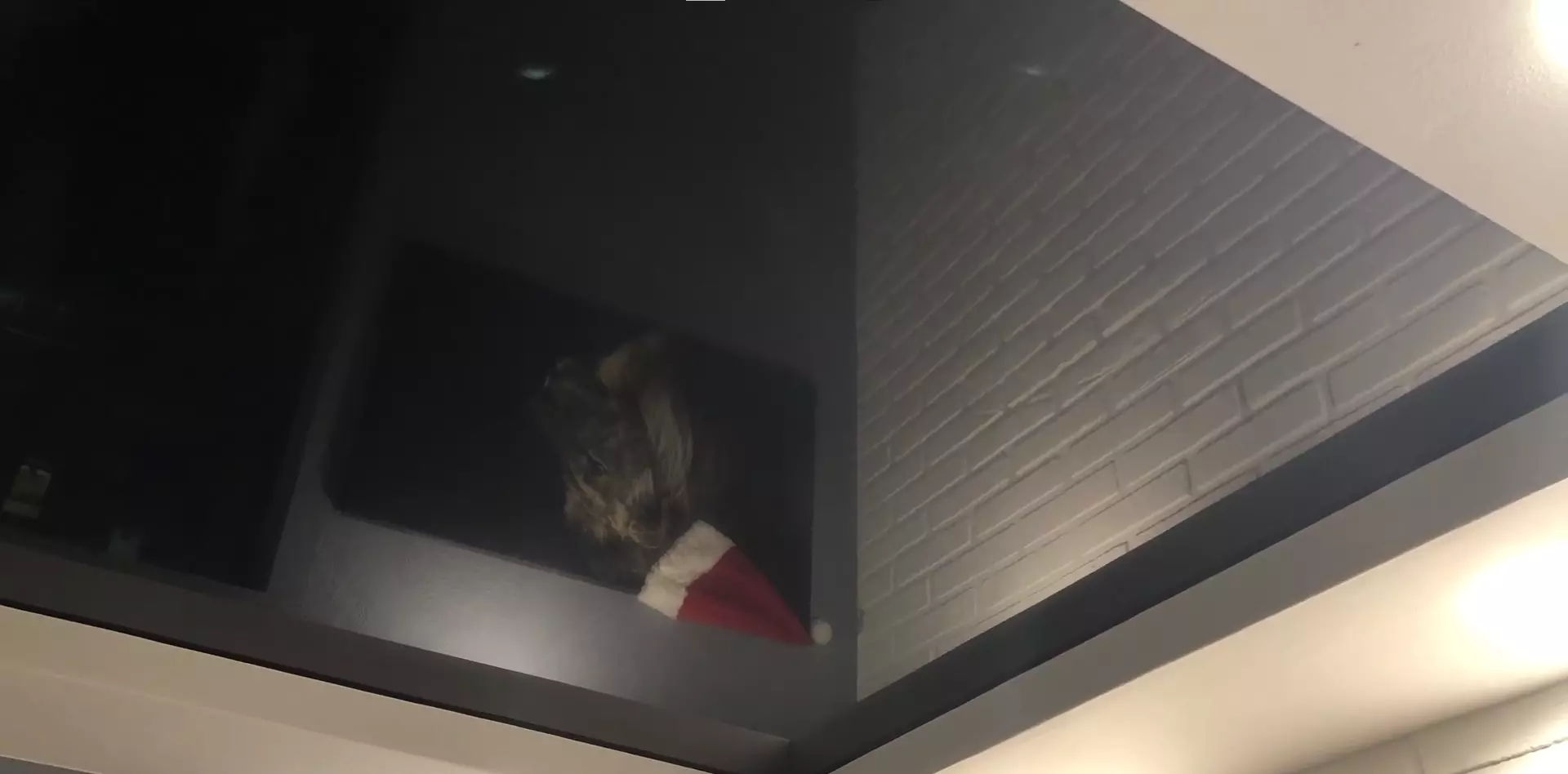 Колпино, Ленинский проспект, 172, фото 3